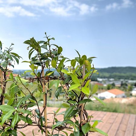 L'Elegante Confort, Clim & Vue Imprenable Bassillac Екстер'єр фото